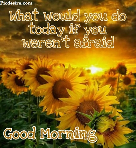 50 Beautiful Good Morning Quotes and Saying 50 Beautiful Good Morning Quotes and Saying
