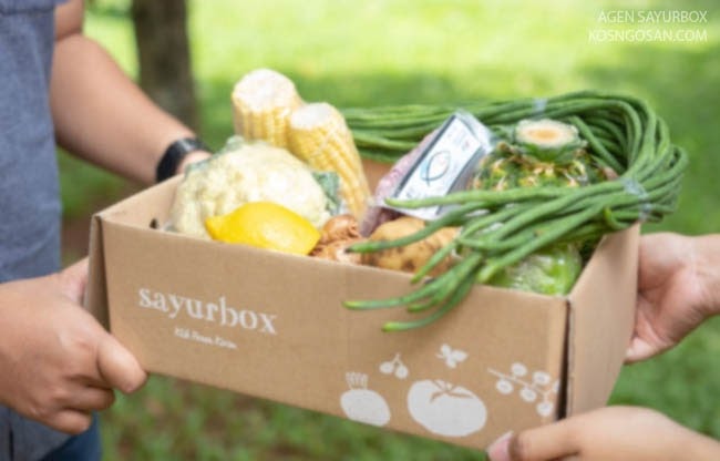 Cara Menjadi Mitra SayurBox Terdekat di Kota-mu - KOSNGOSAN