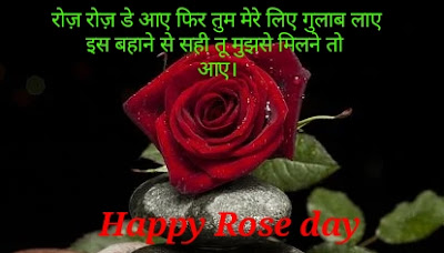 Rose Day Shayari