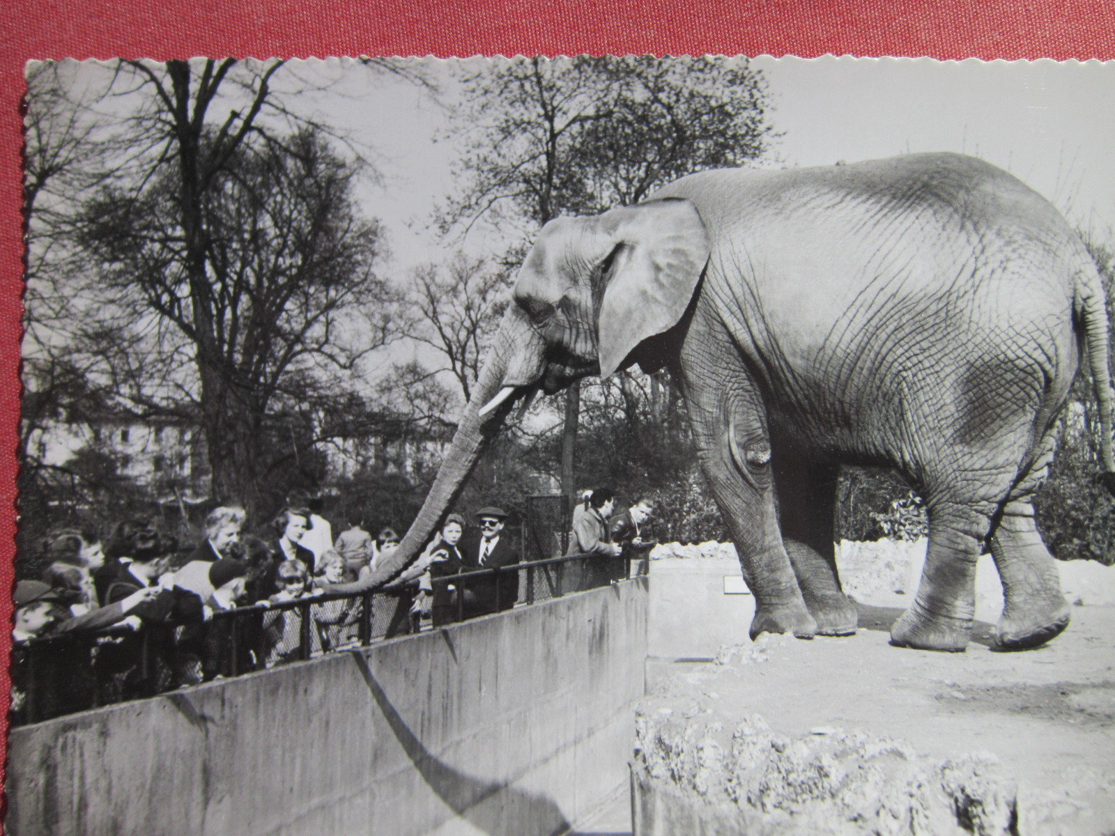 The Circus No Spin Zone 102912 