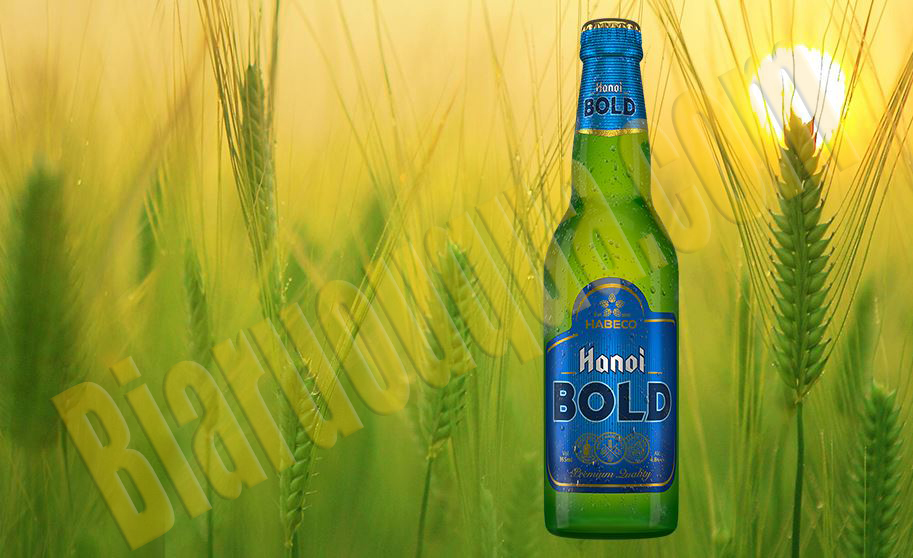Bia chai Hà Nội Bold