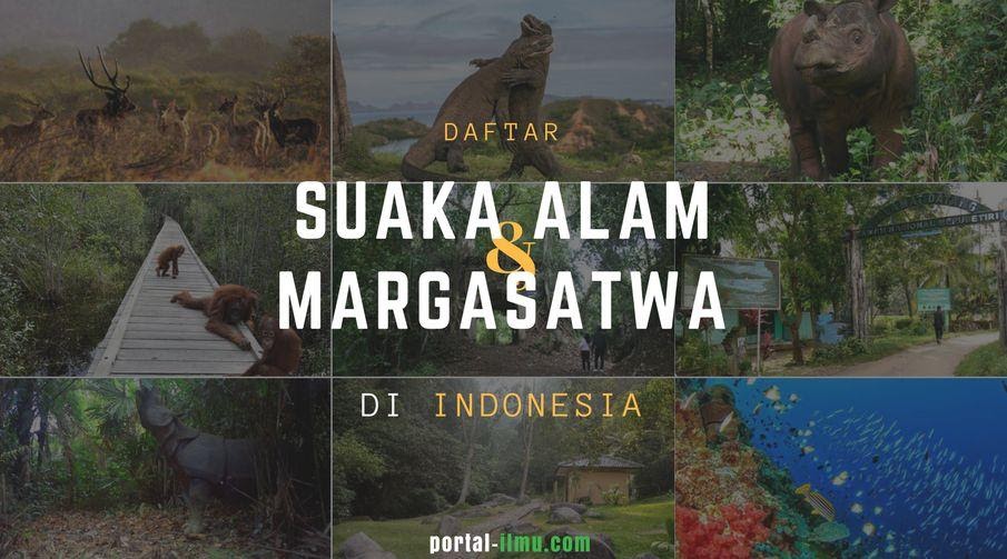 Daftar Suaka Alam Dan Margasatwa Di Indonesia Portal Ilmu Com Read More Learn More Daftar Suaka Alam Dan Margasatwa Di Indonesia Portal Ilmu Com Read More Learn More