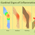 Inflammation: causes and classification