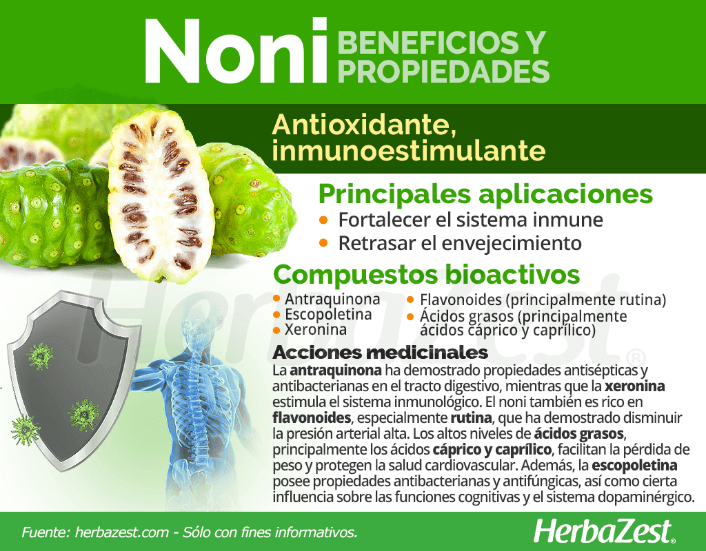 BARRAS DE NONI Beneficios del Noni