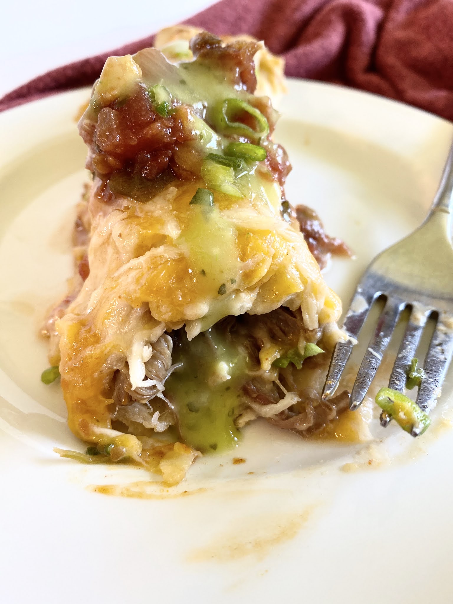 Mexican Shredded Beef Enchiladas | Ally's Sweet & Savory Eats