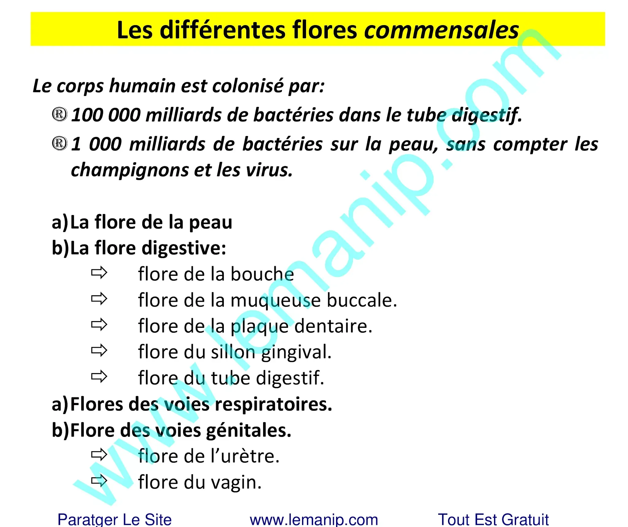 Les différentes flores commensales