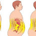 INCREIBLE: ELIMINAR GRASA ABDOMINAL, RESULTADOS GENIALES