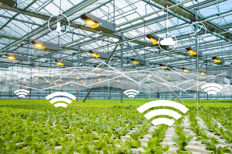 What Sensors are used in a Smart Greenhouse and How Smart Greenhouse