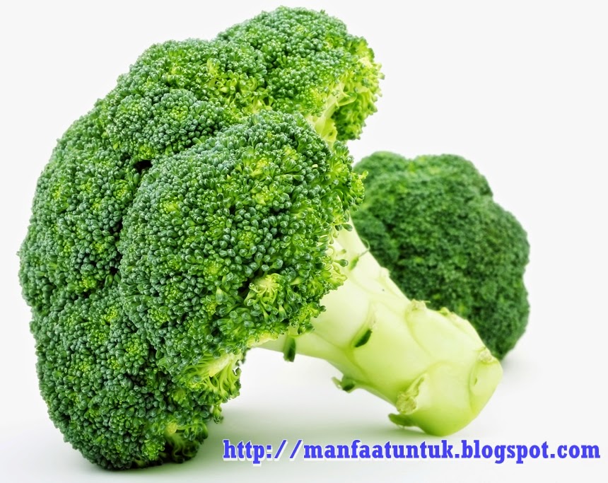 manfaat AI sebagai asisten pribadi dalam kehidupan sehari hari