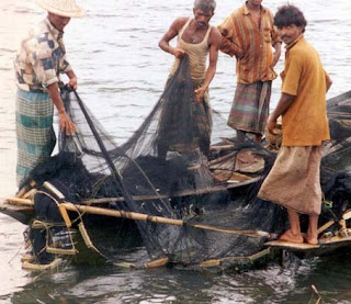 Bangladeş'te ağla avlanan balıkçılar.