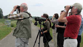 Bak bilde av bird watchers