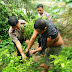 Kedapatan Tanam Ganja, Warga Gampong Panton Rayeuk Digelandang Ke Polsek Banda Alam