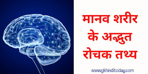 amazing facts about human body parts gk in hindi