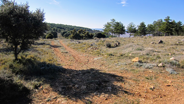 Senda Vallejo de la Zorra