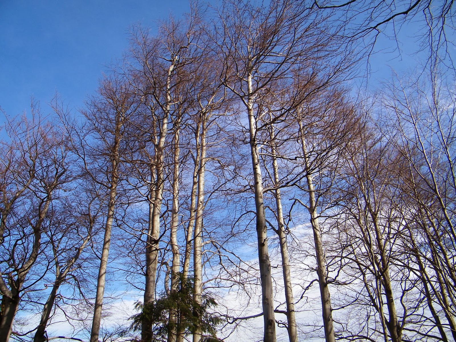 Turystyka Beskid Mały Szlak