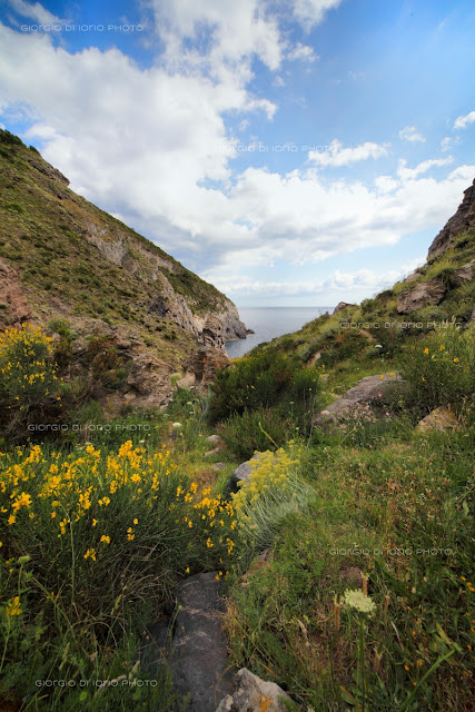 Baia della Pelara, Foto Ischia, Paesaggi Ischitani, Sentieri di Ischia, Baie di Ischia, trekking Ischia, 