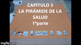 DIVERSALUD.(CAPÍTULO 3): LA PIRÁMIDE DE LA SALUD -1ªPARTE-