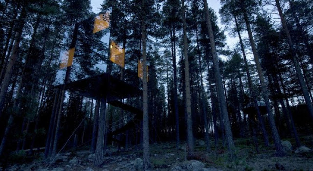 شاهد صور 29 منزل فوق الأشجار سيعجبك أن تعيش بها  Top-29-Treehouses-Mirrorcube