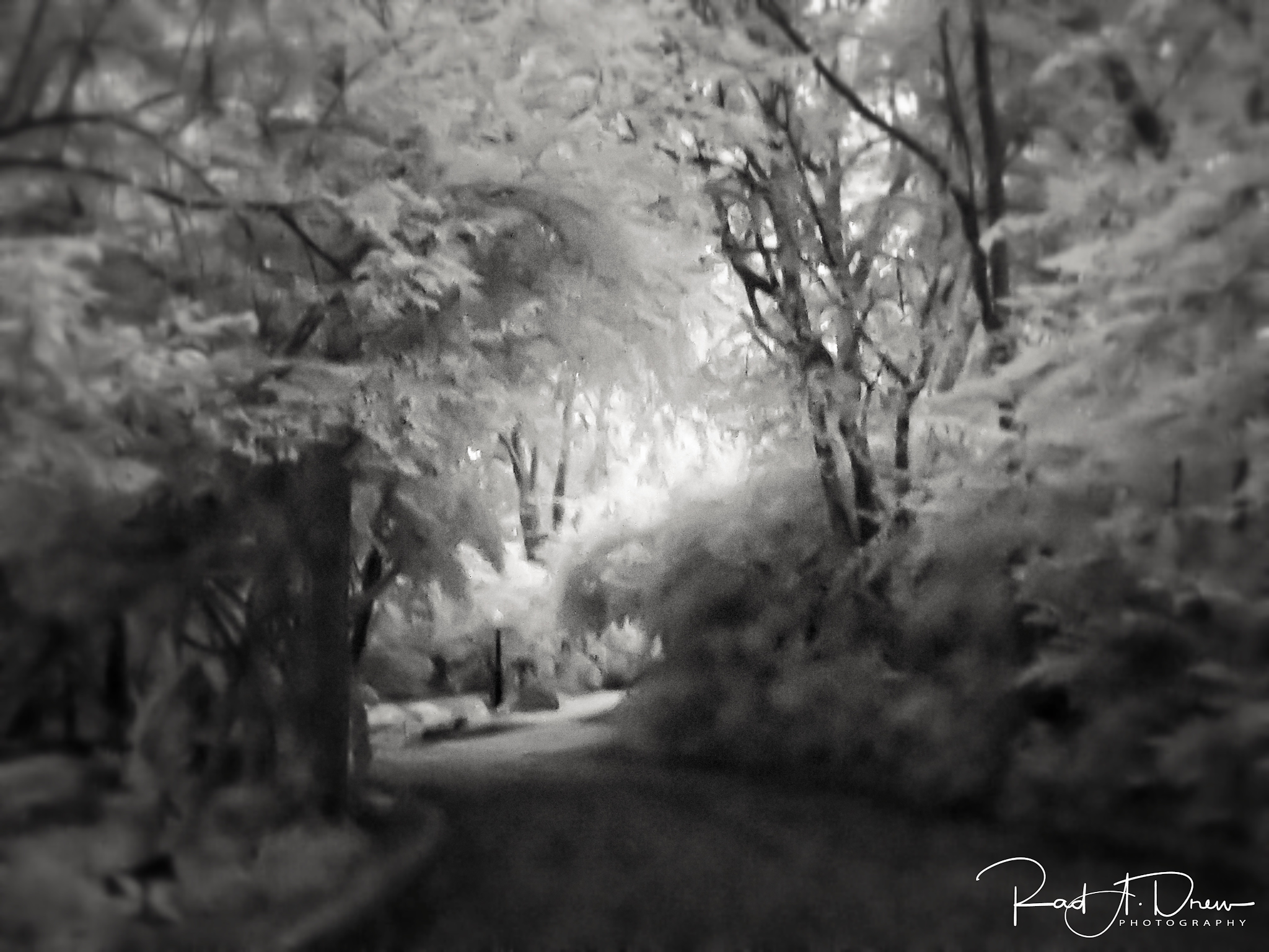 Rad A. Drew Photography Infrared for iPhone! It's Possible! It's FUN!