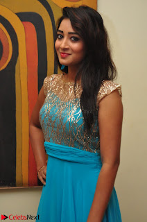 Bhanu Tripathi in Sleeveless Floor Lenght Anarkali gown At Desire Exhibition Launch 008