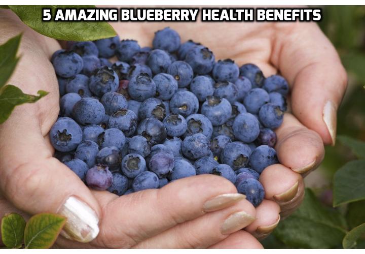 How To Have a Healthy Life Revealing Here the 5 Amazing Blueberry Health Benefits