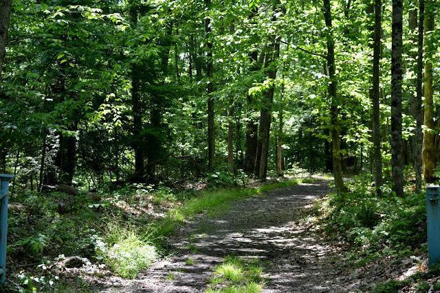 Озеро Саммерсвілль, Західна Вірджинія (Summersville lake, WV)