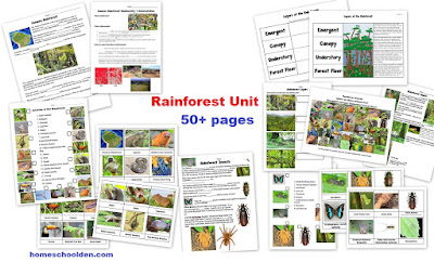 http://homeschoolden.com/2017/05/14/rainforest-unit-50-page-packet/