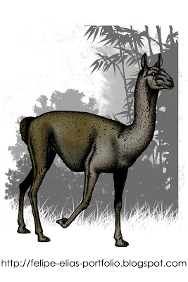 camellos prehistoricos de Argentina Palaeolama