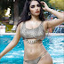 Indian Bikini Models-4