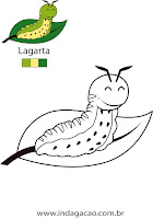 Lagarta lagarta