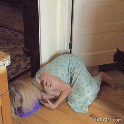 Funny Cat GIF • Ninja cat jumps over her sleepy owner in this amazing slow motion footage Funny Cat GIF • Ninja cat jumps over her sleepy owner in this amazing slow motion footage