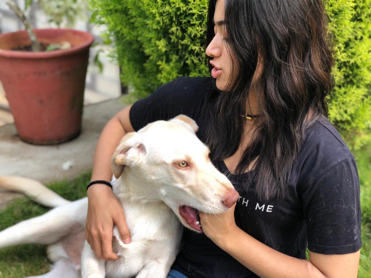 Indian Girl Rashmika Mandanna Playing With Pet Dog - Tollywood Boost
