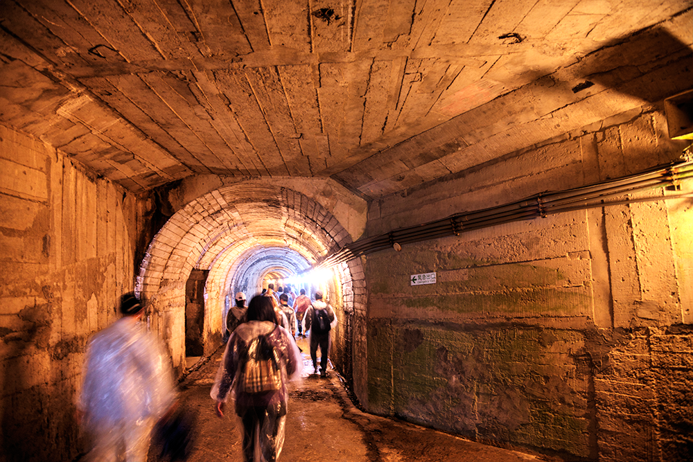 ［宜蘭縣頭城鎮］龜山島登島日記