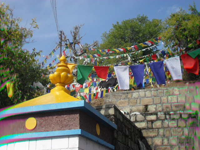 Дармсала. Вокруг дворца Далай ламы