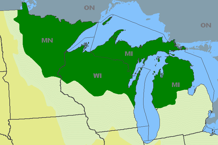 The Corner Side Yard: The "Five Midwests" Series, Part 2: The North Woods