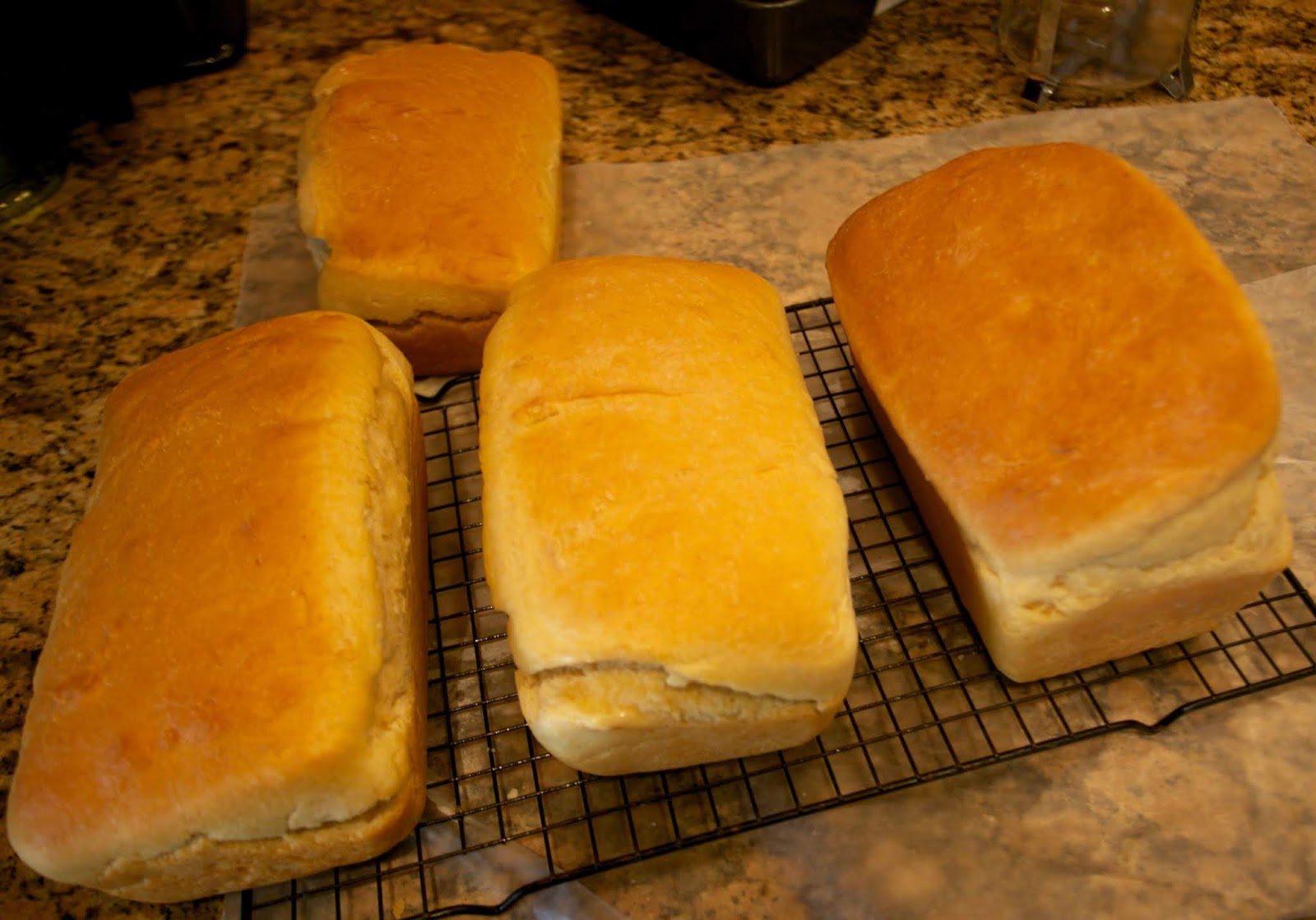 Quarantine Day 39, Cooking for the Quarantined