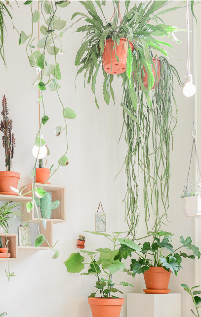 5 ways to save big with clean energy eco, green, living, energy, bills