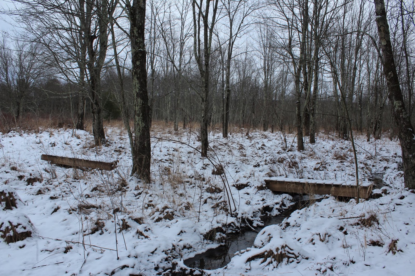 Walking Man 24 7 Town of Sand Lake Walking Trail(Sand Lake, Rensselaer
