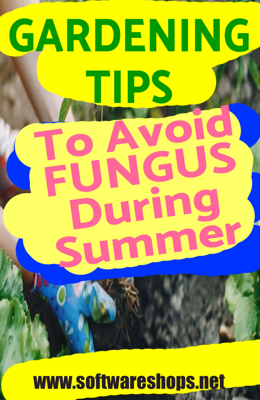 Gardening tips to avoid fungus during summer