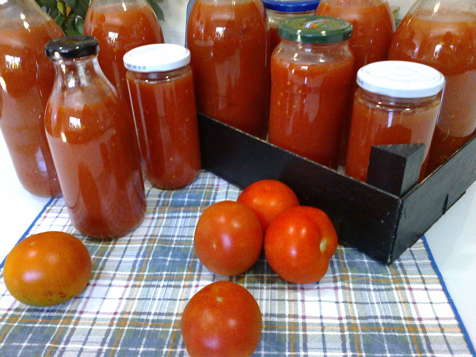 Guloso qb Polpa de tomate caseira