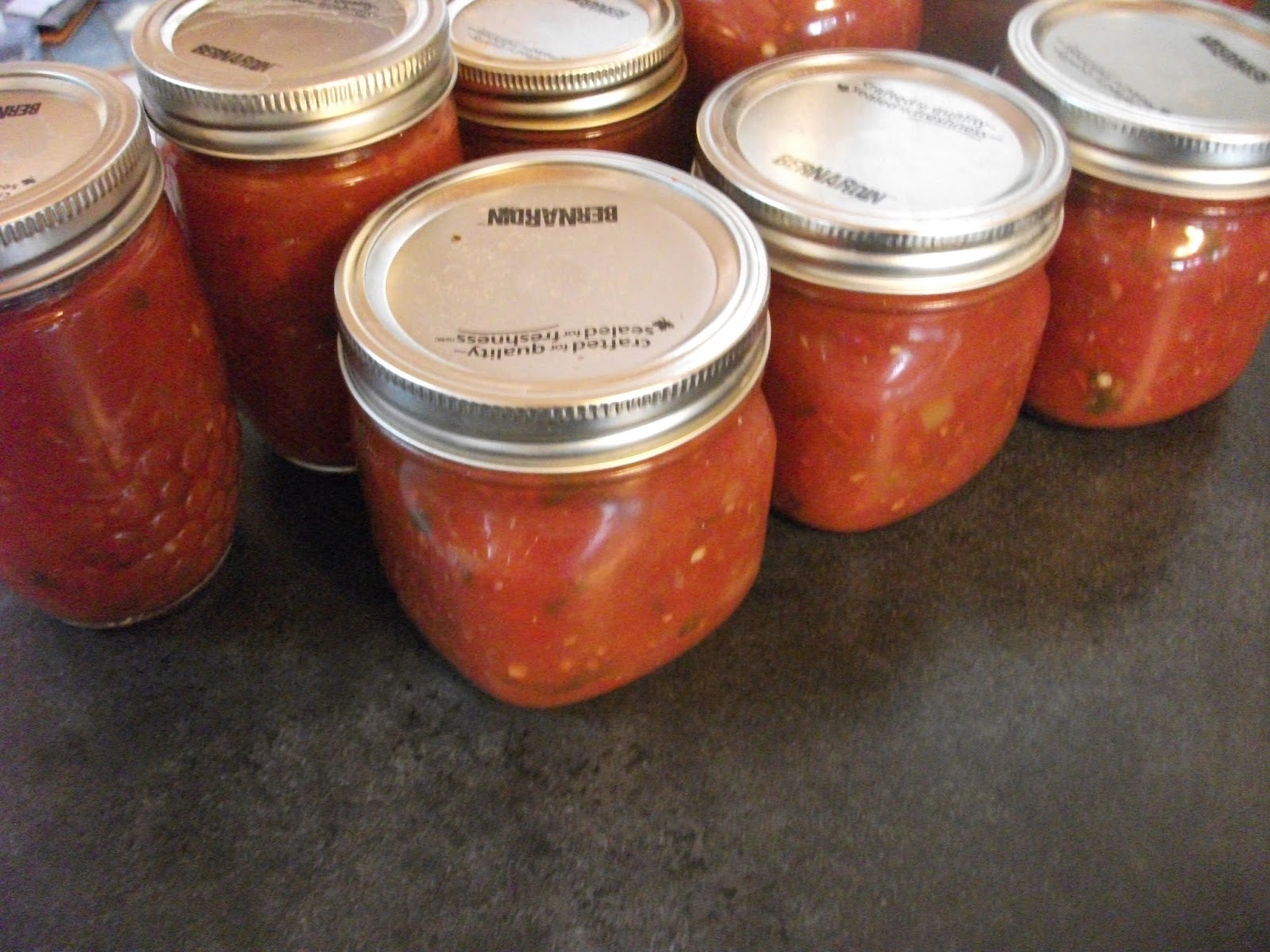 Cold Hands Warm Earth Recipe for Canning Salsa