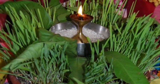 Harela parv is related to image