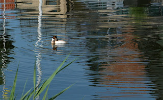 Was vom Tage übrig bleibt