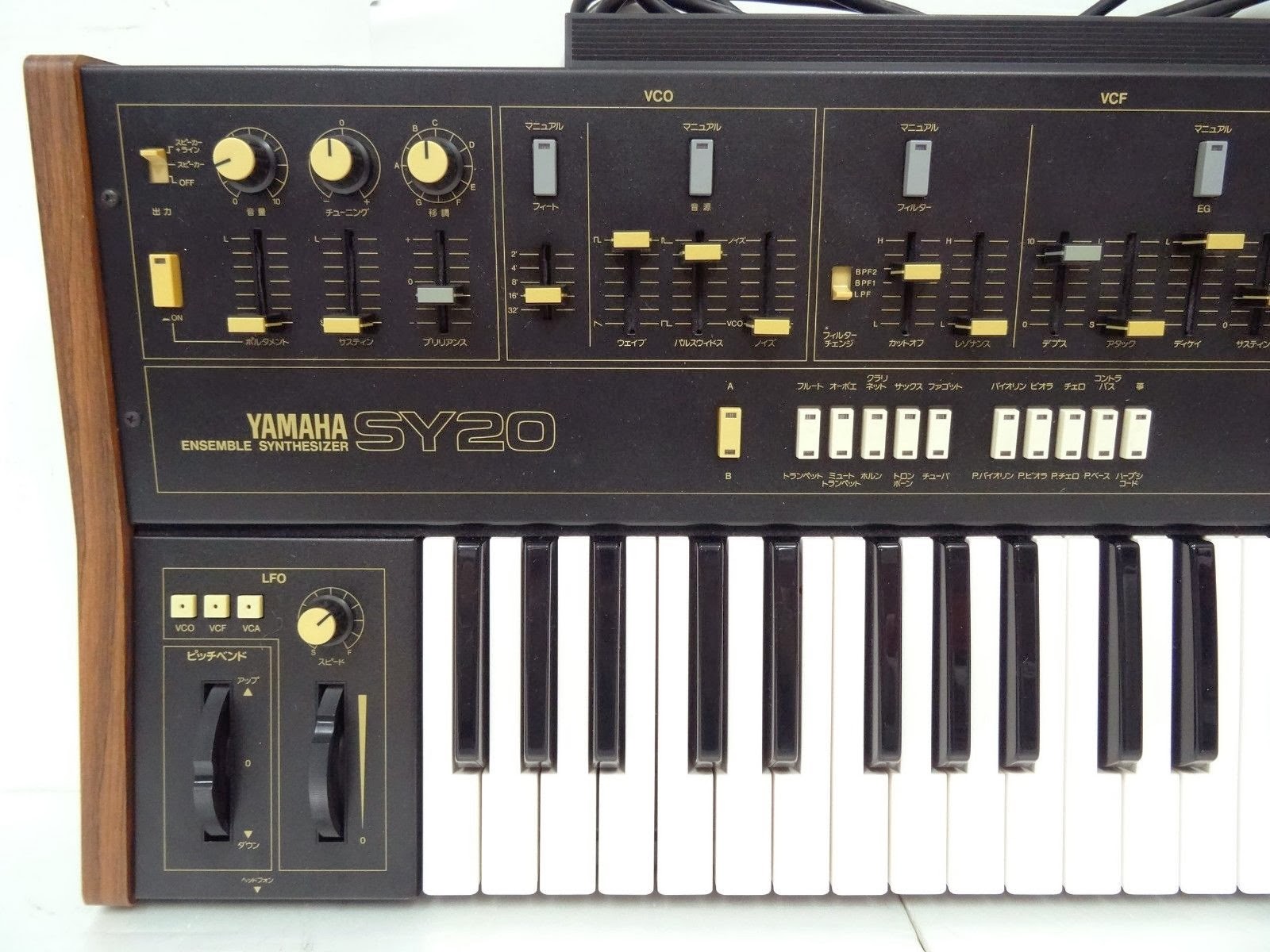 MATRIXSYNTH YAMAHA SY20 Vintage Analog Synthesizer SN 2513 with Built