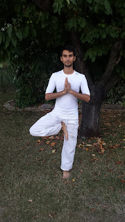 Cours personnel Hatha Yoga Nicolas leroux