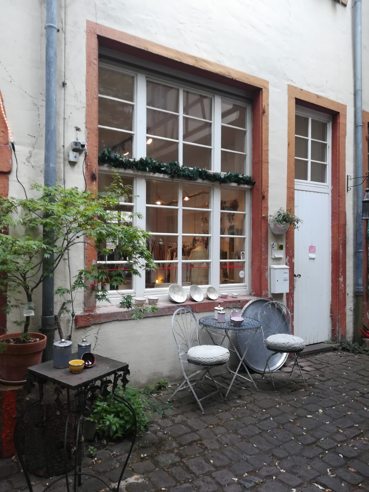 Aktion Mr Griswolds Bucherjagd Das Spiel Beginnt Von Jennifer