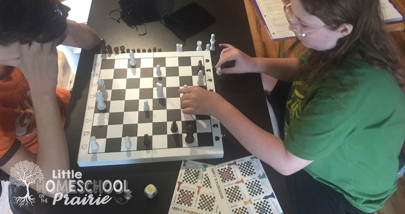 The Easiset Way to Learn How to Play Chess for Ages 5 – 105: Brainblox  Family Fun Chess