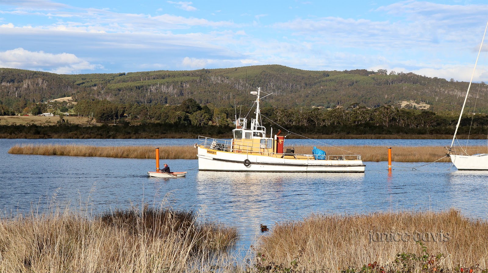 thoughts & happenings Franklin, Tasmania