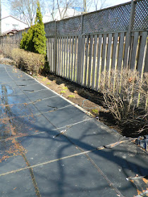 North York Toronto spring garden cleanup after by Paul Jung Gardening Services