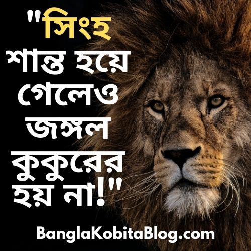 » Best Bangla Status For Whatsapp & Facebook